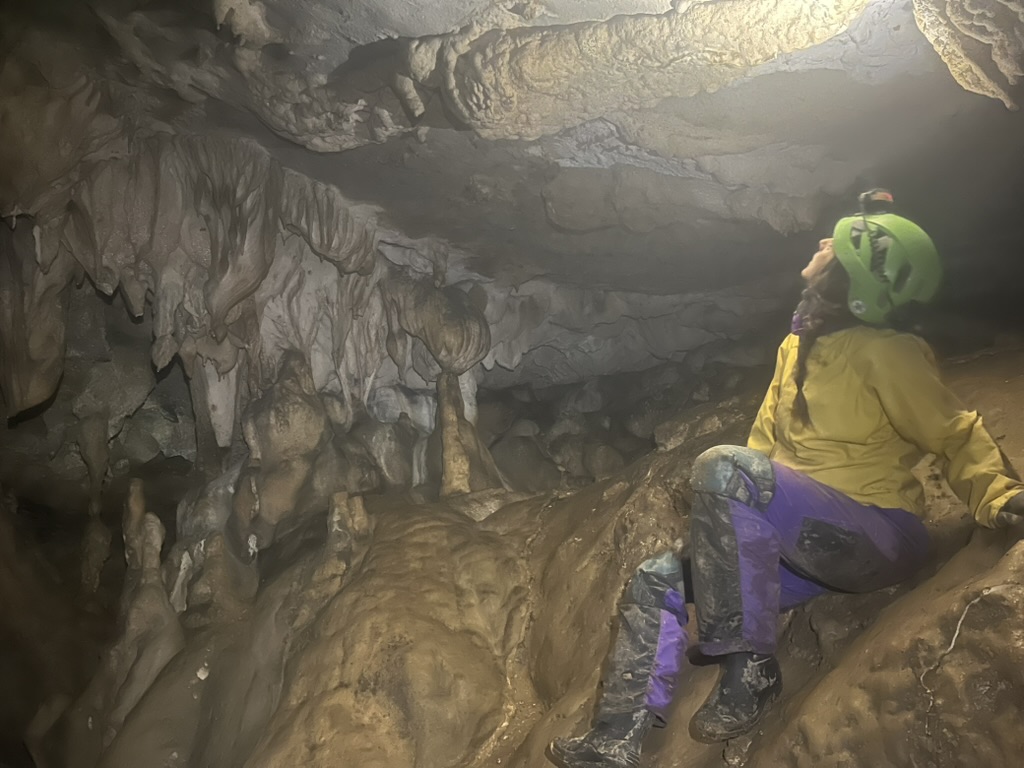 463A65EF-AE7C-4B2C-8317-43F1F8BAEB87_1_105_c